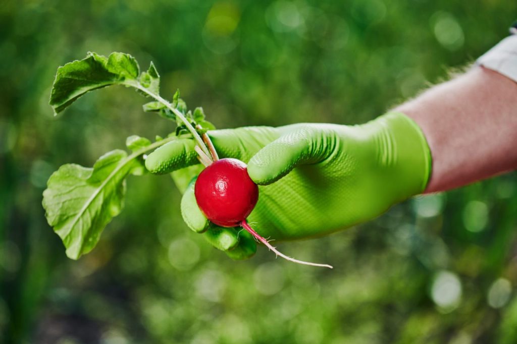 Zelene rokavice GoGrip PRO