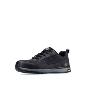 Low Safety Shoes FIT S1P